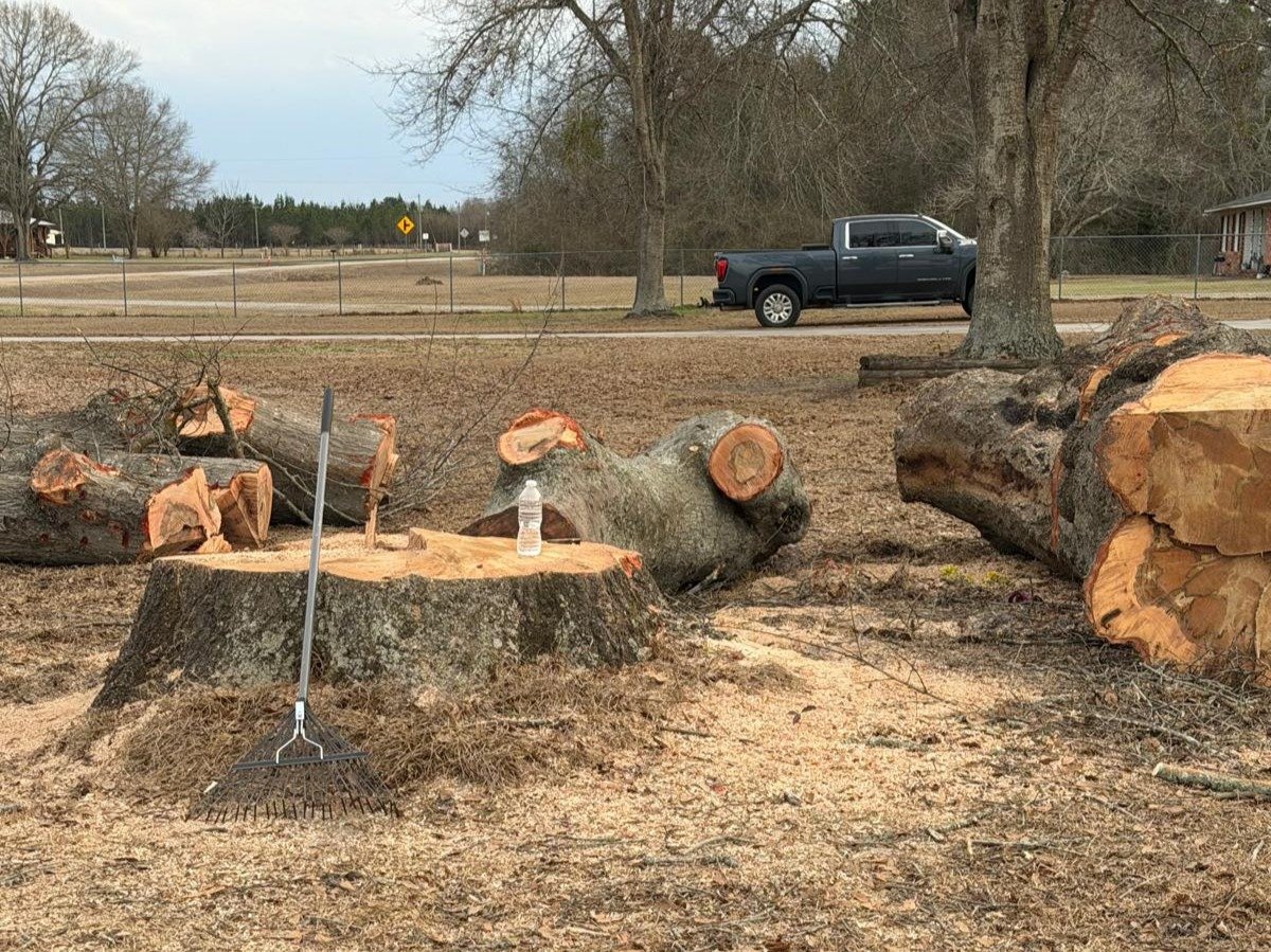 El Costeño Tree Service LLC